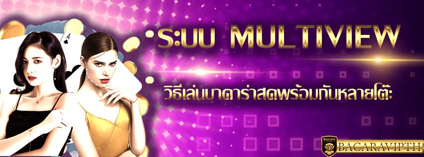 ระบบ Multiview